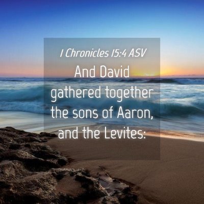Picture 04 - 1 Chronicles 15:4 ASV - And David gathered together the sons of Aaron, - Bible Verse Picture