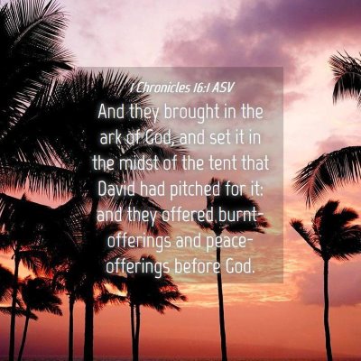 Picture 04 - 1 Chronicles 16:1 ASV - And they brought in the ark of God, and set it in - Bible Verse Picture