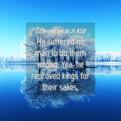Picture 04 - 1 Chronicles 16:21 ASV - He suffered no man to do them wrong; Yea, he - Bible Verse Picture