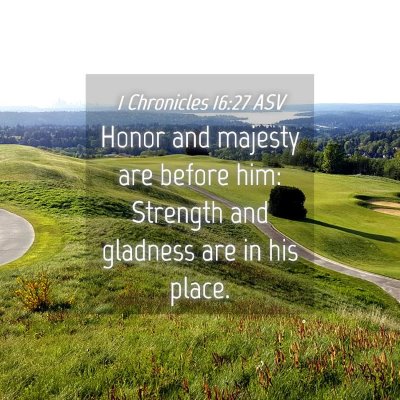 Picture 04 - 1 Chronicles 16:27 ASV - Honor and majesty are before him: Strength and - Bible Verse Picture
