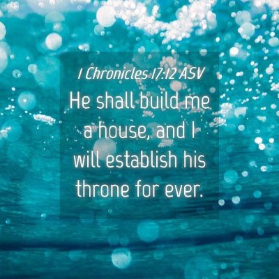 Picture 04 - 1 Chronicles 17:12 ASV - He shall build me a house, and I will establish - Bible Verse Picture
