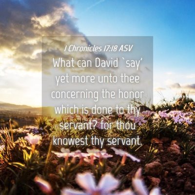 Picture 04 - 1 Chronicles 17:18 ASV - What can David `say' yet more unto thee - Bible Verse Picture