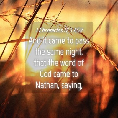 Picture 04 - 1 Chronicles 17:3 ASV - And it came to pass the same night, that the word - Bible Verse Picture