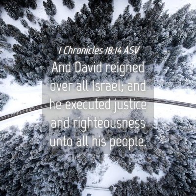 Picture 04 - 1 Chronicles 18:14 ASV - And David reigned over all Israel; and he - Bible Verse Picture