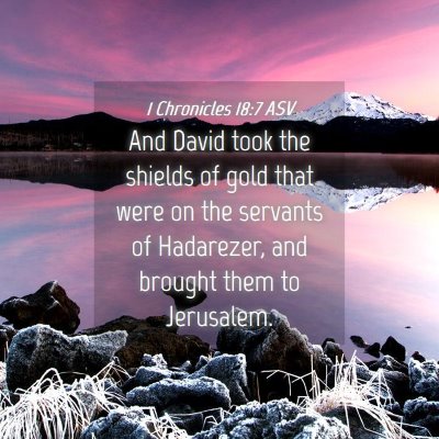 Picture 04 - 1 Chronicles 18:7 ASV - And David took the shields of gold that were on - Bible Verse Picture
