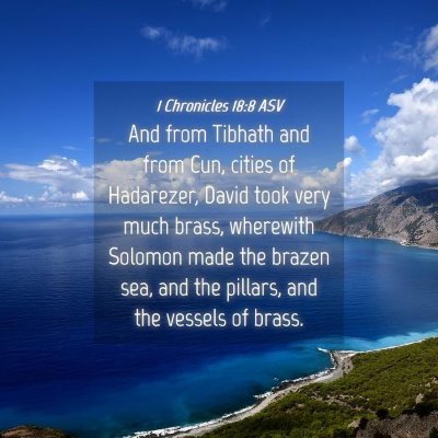 Picture 04 - 1 Chronicles 18:8 ASV - And from Tibhath and from Cun, cities of - Bible Verse Picture