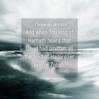 Picture 04 - 1 Chronicles 18:9 ASV - And when Tou king of Hamath heard that David had - Bible Verse Picture