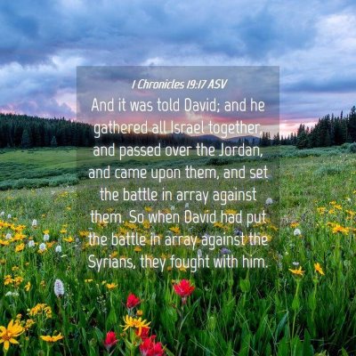 Picture 04 - 1 Chronicles 19:17 ASV - And it was told David; and he gathered all Israel - Bible Verse Picture