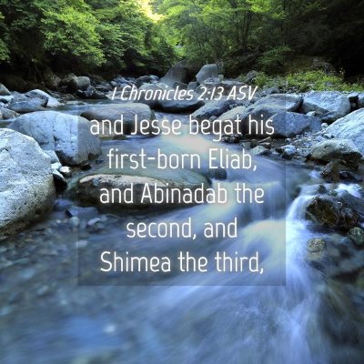 Picture 04 - 1 Chronicles 2:13 ASV - and Jesse begat his first-born Eliab, and - Bible Verse Picture