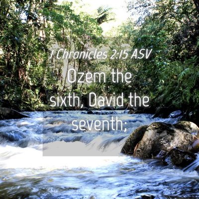 Picture 04 - 1 Chronicles 2:15 ASV - Ozem the sixth, David the - Bible Verse Picture