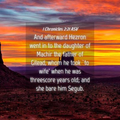 Picture 04 - 1 Chronicles 2:21 ASV - And afterward Hezron went in to the daughter of - Bible Verse Picture