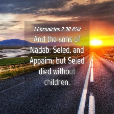Picture 04 - 1 Chronicles 2:30 ASV - And the sons of Nadab: Seled, and Appaim; but - Bible Verse Picture