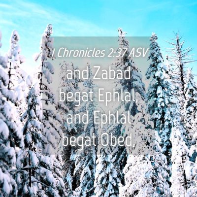 Picture 04 - 1 Chronicles 2:37 ASV - and Zabad begat Ephlal, and Ephlal begat - Bible Verse Picture