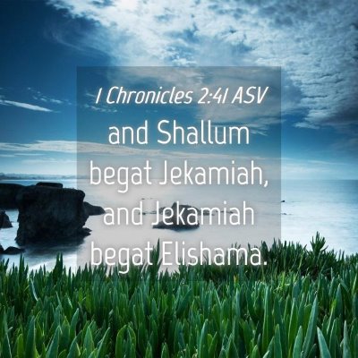 Picture 04 - 1 Chronicles 2:41 ASV - and Shallum begat Jekamiah, and Jekamiah begat - Bible Verse Picture
