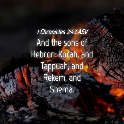 Picture 04 - 1 Chronicles 2:43 ASV - And the sons of Hebron: Korah, and Tappuah, and - Bible Verse Picture