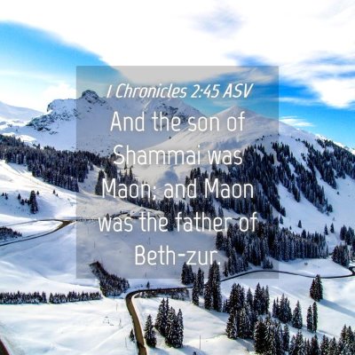 Picture 04 - 1 Chronicles 2:45 ASV - And the son of Shammai was Maon; and Maon was the - Bible Verse Picture