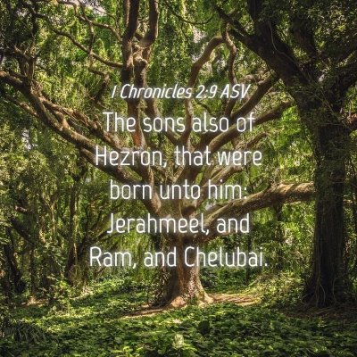 Picture 04 - 1 Chronicles 2:9 ASV - The sons also of Hezron, that were born unto him: - Bible Verse Picture