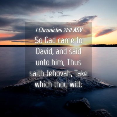 Picture 04 - 1 Chronicles 21:11 ASV - So Gad came to David, and said unto him, Thus - Bible Verse Picture