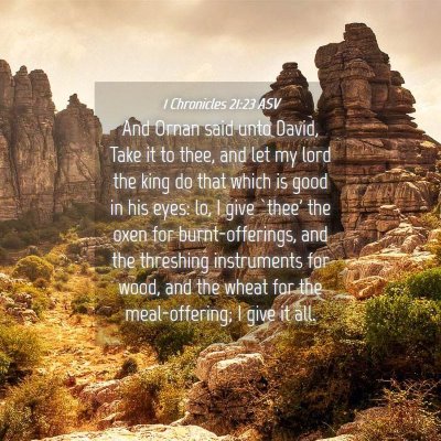 Picture 04 - 1 Chronicles 21:23 ASV - And Ornan said unto David, Take it to thee, and - Bible Verse Picture
