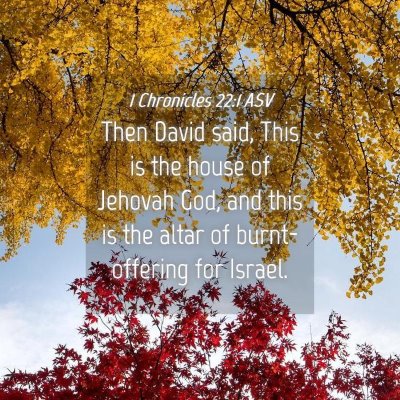 Picture 04 - 1 Chronicles 22:1 ASV - Then David said, This is the house of Jehovah - Bible Verse Picture