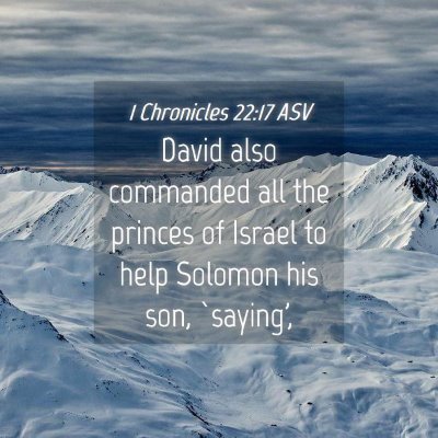 Picture 04 - 1 Chronicles 22:17 ASV - David also commanded all the princes of Israel to - Bible Verse Picture