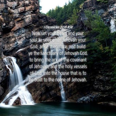 Picture 04 - 1 Chronicles 22:19 ASV - Now set your heart and your soul to seek after - Bible Verse Picture