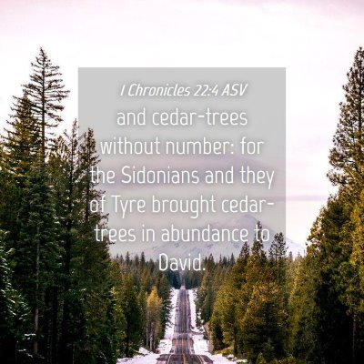 Picture 04 - 1 Chronicles 22:4 ASV - and cedar-trees without number: for the Sidonians - Bible Verse Picture