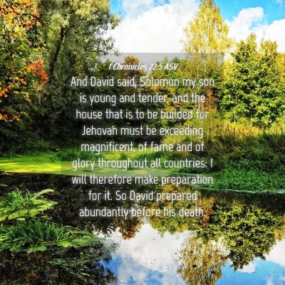Picture 04 - 1 Chronicles 22:5 ASV - And David said, Solomon my son is young and - Bible Verse Picture
