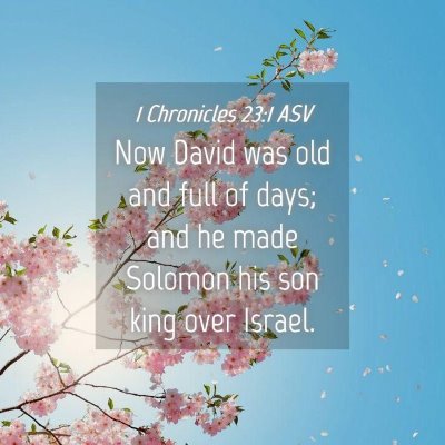 Picture 04 - 1 Chronicles 23:1 ASV - Now David was old and full of days; and he made - Bible Verse Picture