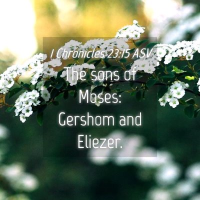 Picture 04 - 1 Chronicles 23:15 ASV - The sons of Moses: Gershom and - Bible Verse Picture