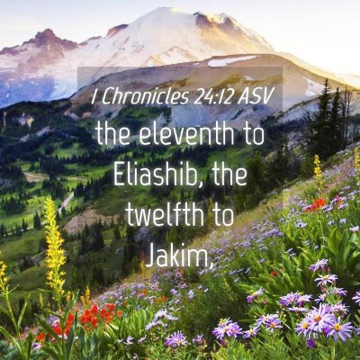 Picture 04 - 1 Chronicles 24:12 ASV - the eleventh to Eliashib, the twelfth to - Bible Verse Picture