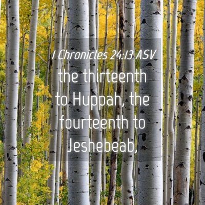 Picture 04 - 1 Chronicles 24:13 ASV - the thirteenth to Huppah, the fourteenth to - Bible Verse Picture