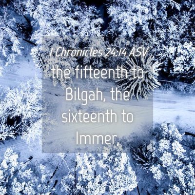 Picture 04 - 1 Chronicles 24:14 ASV - the fifteenth to Bilgah, the sixteenth to - Bible Verse Picture