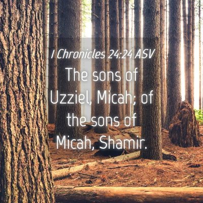 Picture 04 - 1 Chronicles 24:24 ASV - The sons of Uzziel, Micah; of the sons of Micah, - Bible Verse Picture