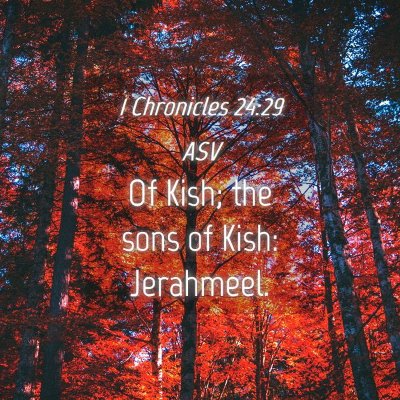 Picture 04 - 1 Chronicles 24:29 ASV - Of Kish; the sons of Kish: - Bible Verse Picture