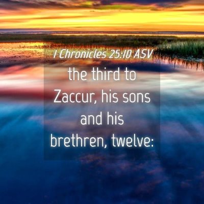 Picture 04 - 1 Chronicles 25:10 ASV - the third to Zaccur, his sons and his brethren, - Bible Verse Picture