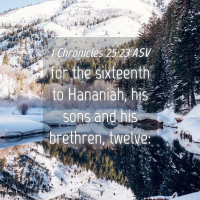 Picture 04 - 1 Chronicles 25:23 ASV - for the sixteenth to Hananiah, his sons and his - Bible Verse Picture