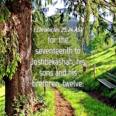 Picture 04 - 1 Chronicles 25:24 ASV - for the seventeenth to Joshbekashah, his sons and - Bible Verse Picture