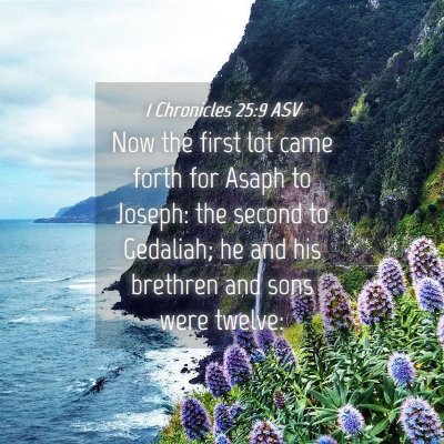Picture 04 - 1 Chronicles 25:9 ASV - Now the first lot came forth for Asaph to Joseph: - Bible Verse Picture