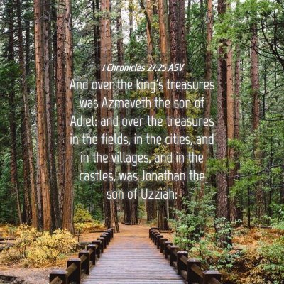 Picture 04 - 1 Chronicles 27:25 ASV - And over the king's treasures was Azmaveth the - Bible Verse Picture