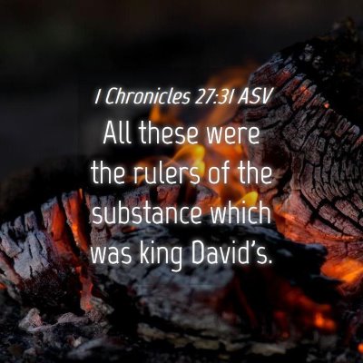 Picture 04 - 1 Chronicles 27:31 ASV - All these were the rulers of the substance which - Bible Verse Picture