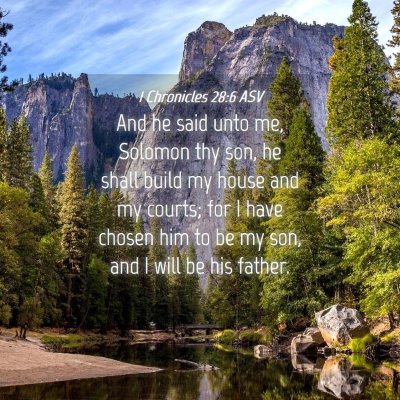 Picture 04 - 1 Chronicles 28:6 ASV - And he said unto me, Solomon thy son, he shall - Bible Verse Picture