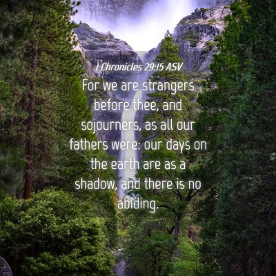 Picture 04 - 1 Chronicles 29:15 ASV - For we are strangers before thee, and sojourners, - Bible Verse Picture