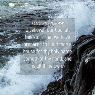 Picture 04 - 1 Chronicles 29:16 ASV - O Jehovah our God, all this store that we have - Bible Verse Picture