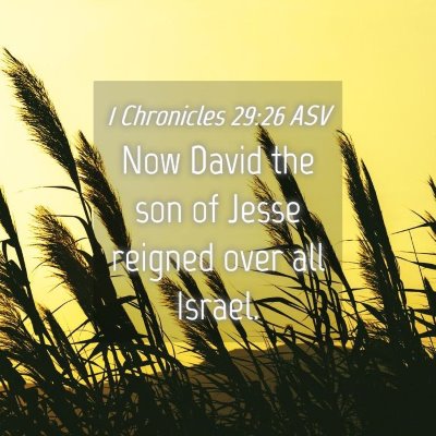 Picture 04 - 1 Chronicles 29:26 ASV - Now David the son of Jesse reigned over all - Bible Verse Picture