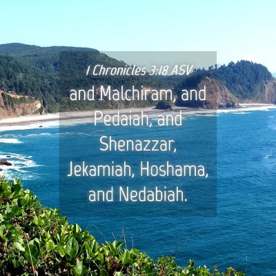 Picture 04 - 1 Chronicles 3:18 ASV - and Malchiram, and Pedaiah, and Shenazzar, - Bible Verse Picture