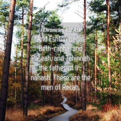 Picture 04 - 1 Chronicles 4:12 ASV - And Eshton begat Beth-rapha, and Paseah, and - Bible Verse Picture