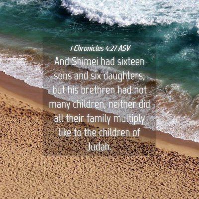 Picture 04 - 1 Chronicles 4:27 ASV - And Shimei had sixteen sons and six daughters; - Bible Verse Picture