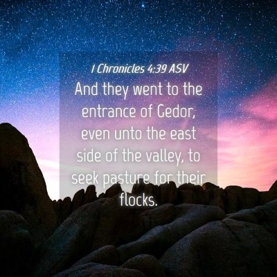 Picture 04 - 1 Chronicles 4:39 ASV - And they went to the entrance of Gedor, even unto - Bible Verse Picture
