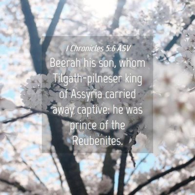 Picture 04 - 1 Chronicles 5:6 ASV - Beerah his son, whom Tilgath-pilneser king of - Bible Verse Picture